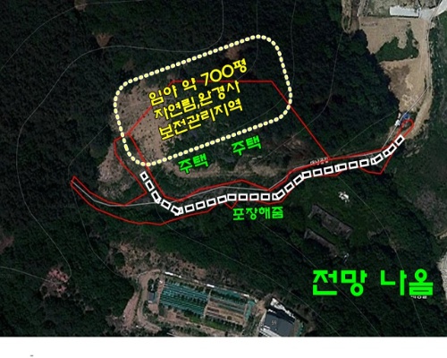 뽕