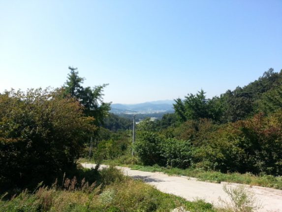 1889643510_RrE8tiYI_c