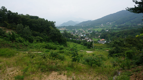 DSC08280