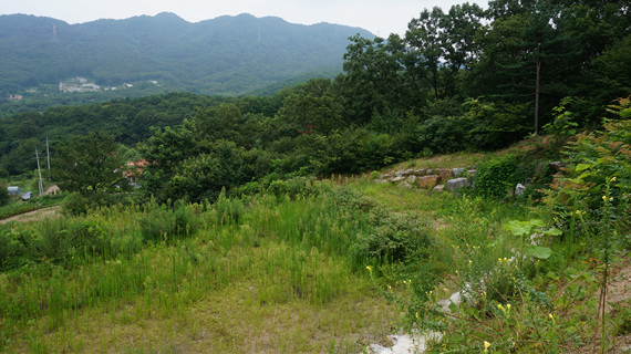 DSC08273