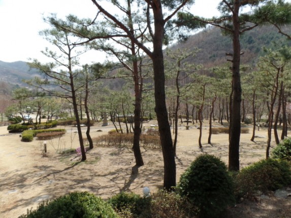 크기변환_SAM_1054