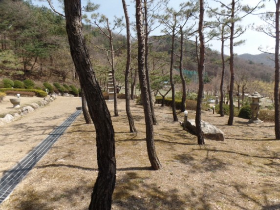 크기변환_SAM_1078