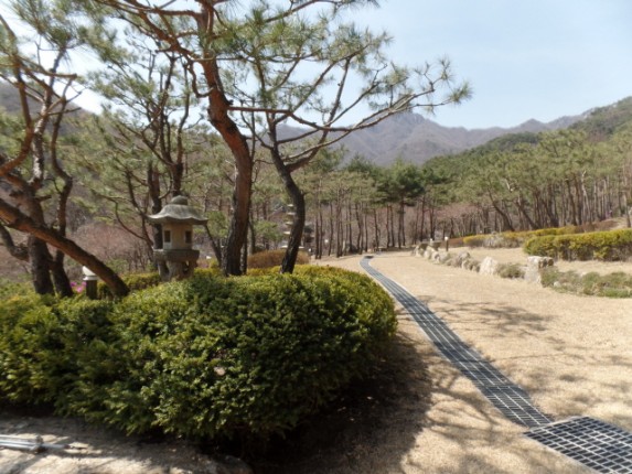 크기변환_SAM_1050