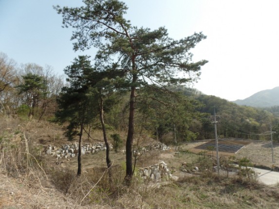 크기변환_SAM_1263