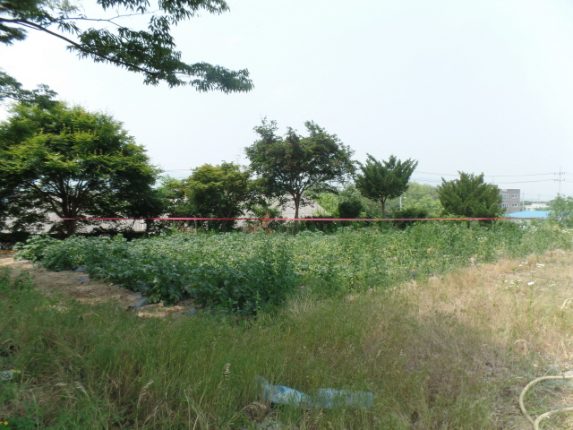 크기변환_SAM_2285
