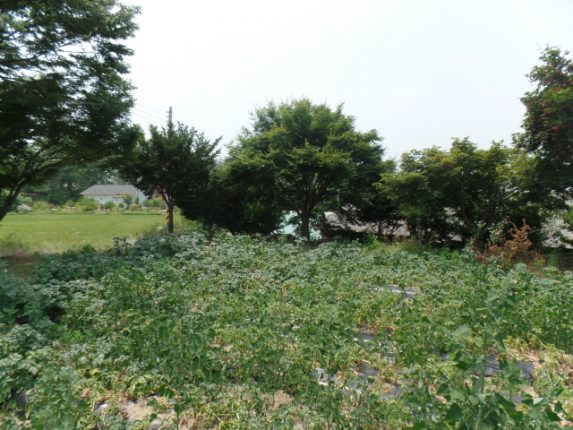 크기변환_SAM_2287