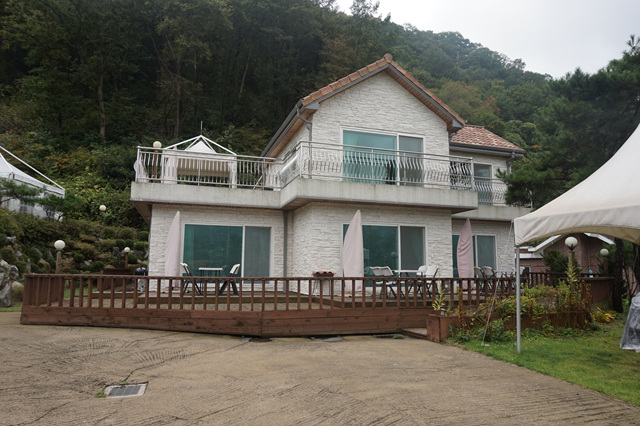 3717953229_q2maxdna_4