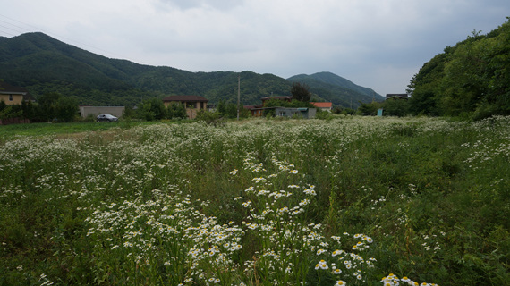 DSC07700