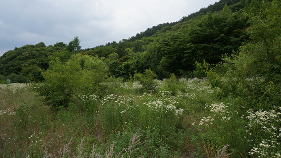 DSC07702