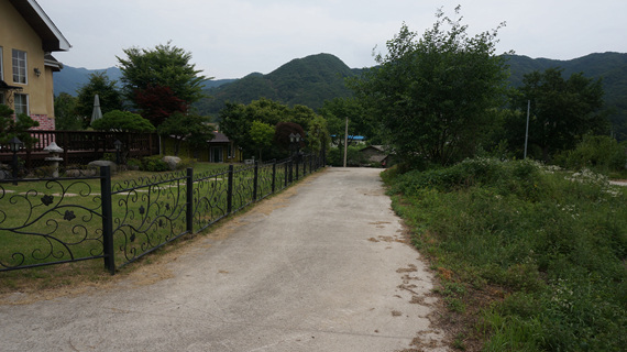 DSC07703