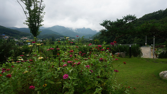 DSC08191