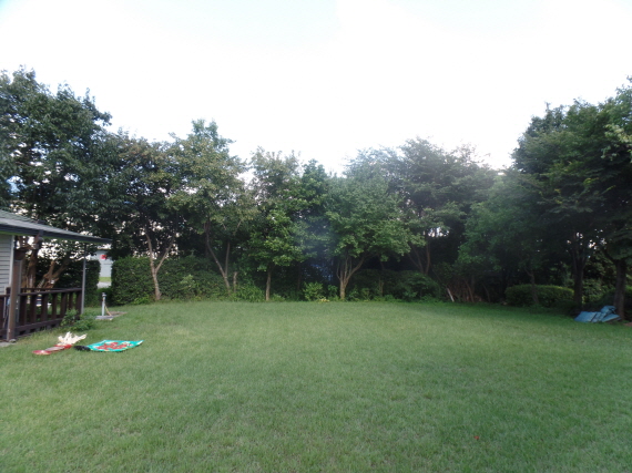 크기변환_SAM_8504