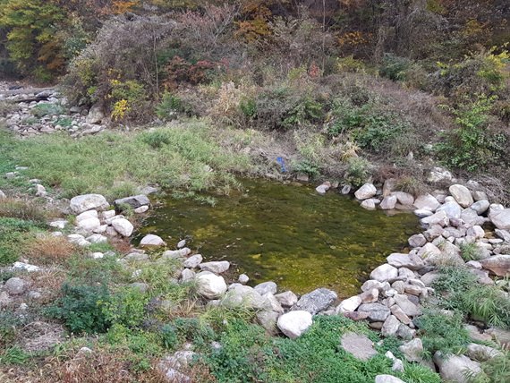20171101_155253
